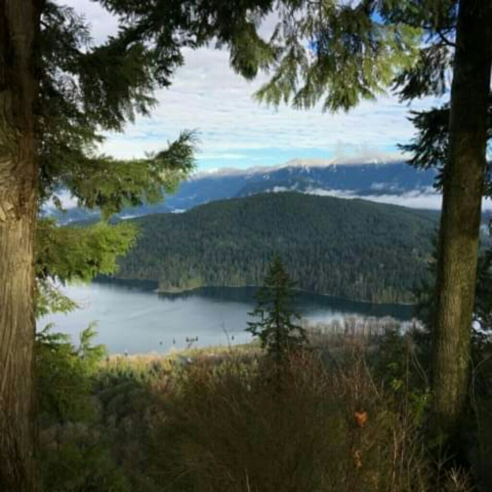 Meet your Posher, Sipan